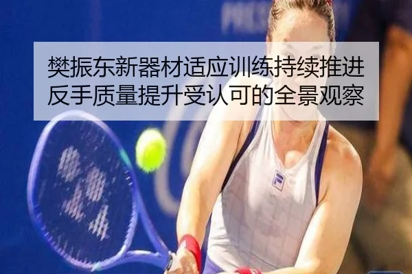 樊振东新器材适应训练持续推进 反手质量提升受认可的全景观察 - kaiyun